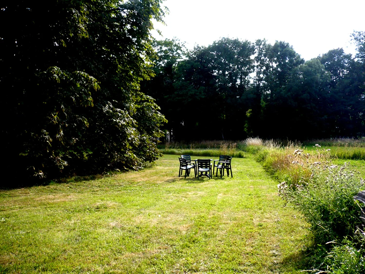 p9.jpg