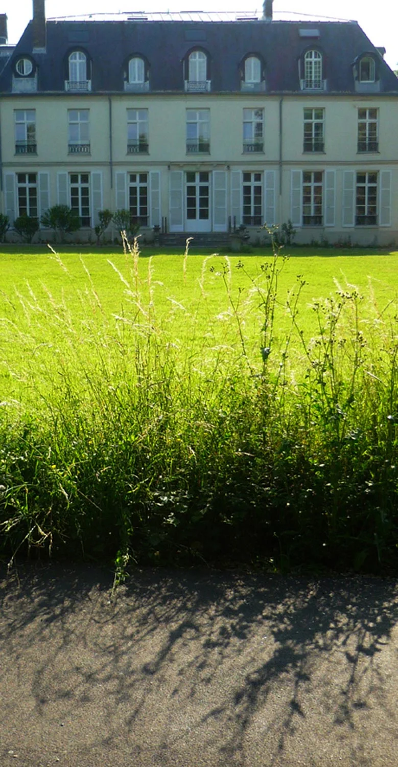 P1070252''.jpg