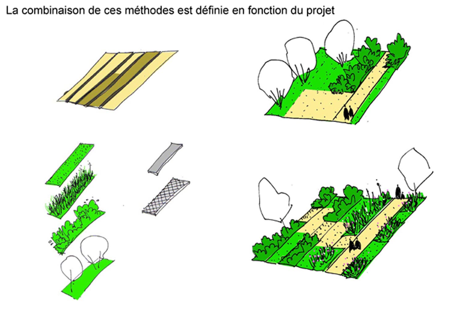 pre-diag-sept09-v2_Page_3.jpg