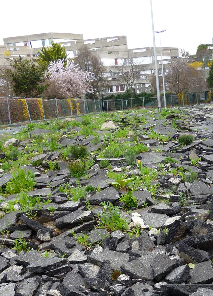 Jardin des Joyeux - 250317