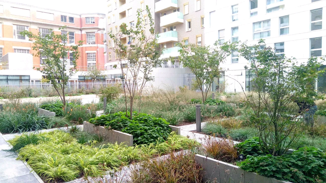  photo Arbres et paysages 