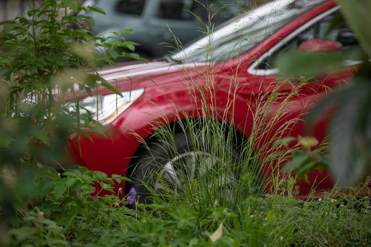 Wagon landscaping préfiguration Ivry  ©yannmonel-7780.jpg