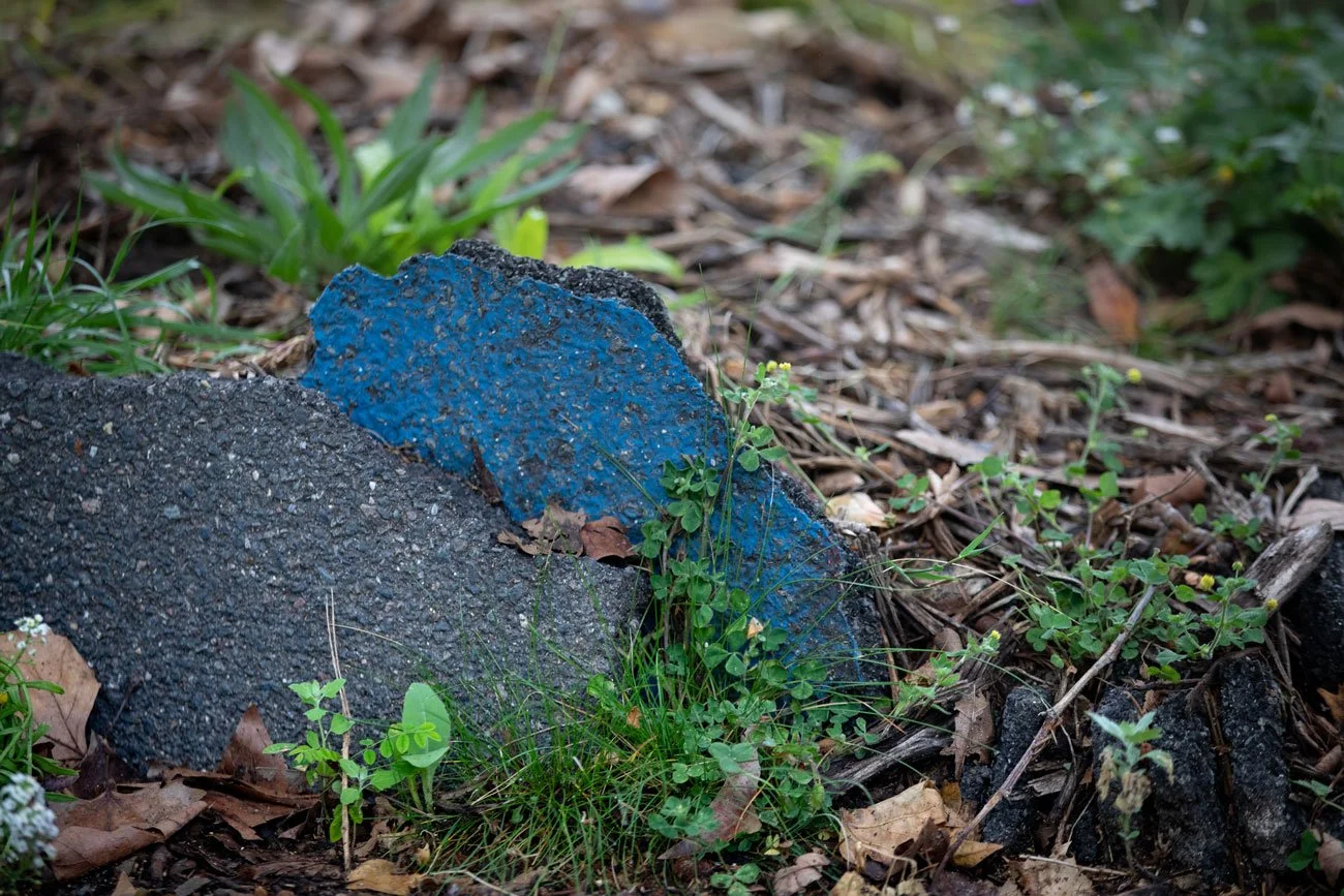 Wagon landscaping préfiguration Ivry  ©yannmonel-7868.jpg