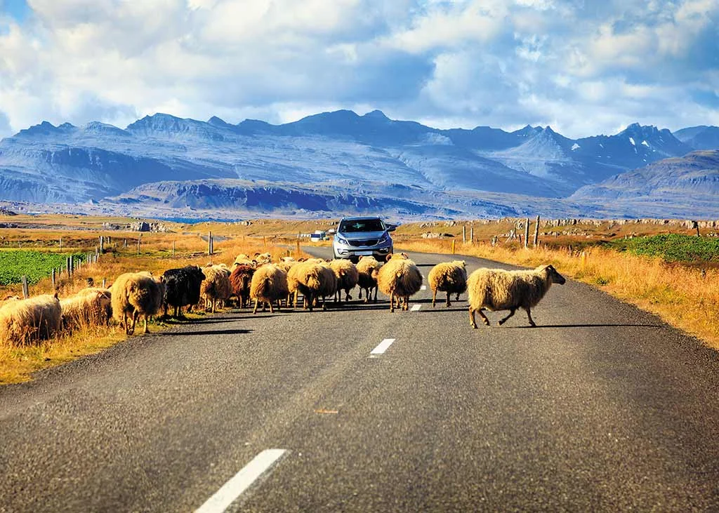 Iceland roads.jpg