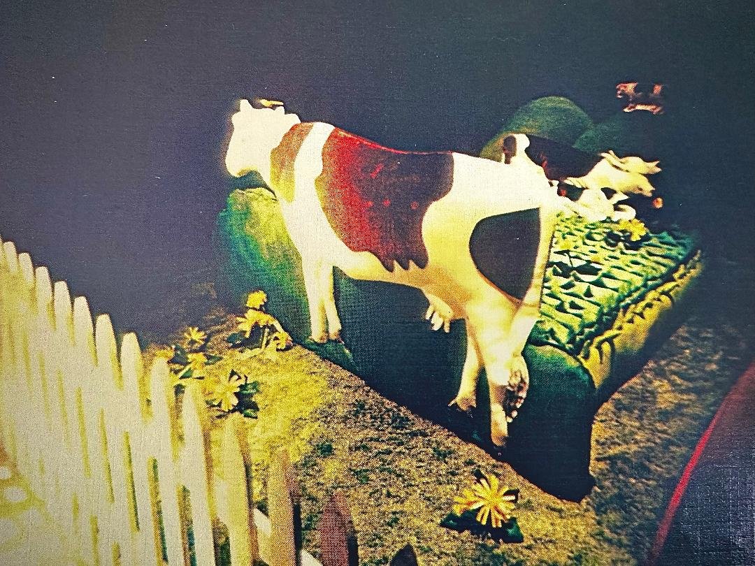 Cow Pasture Bed (Soft Sculpture)