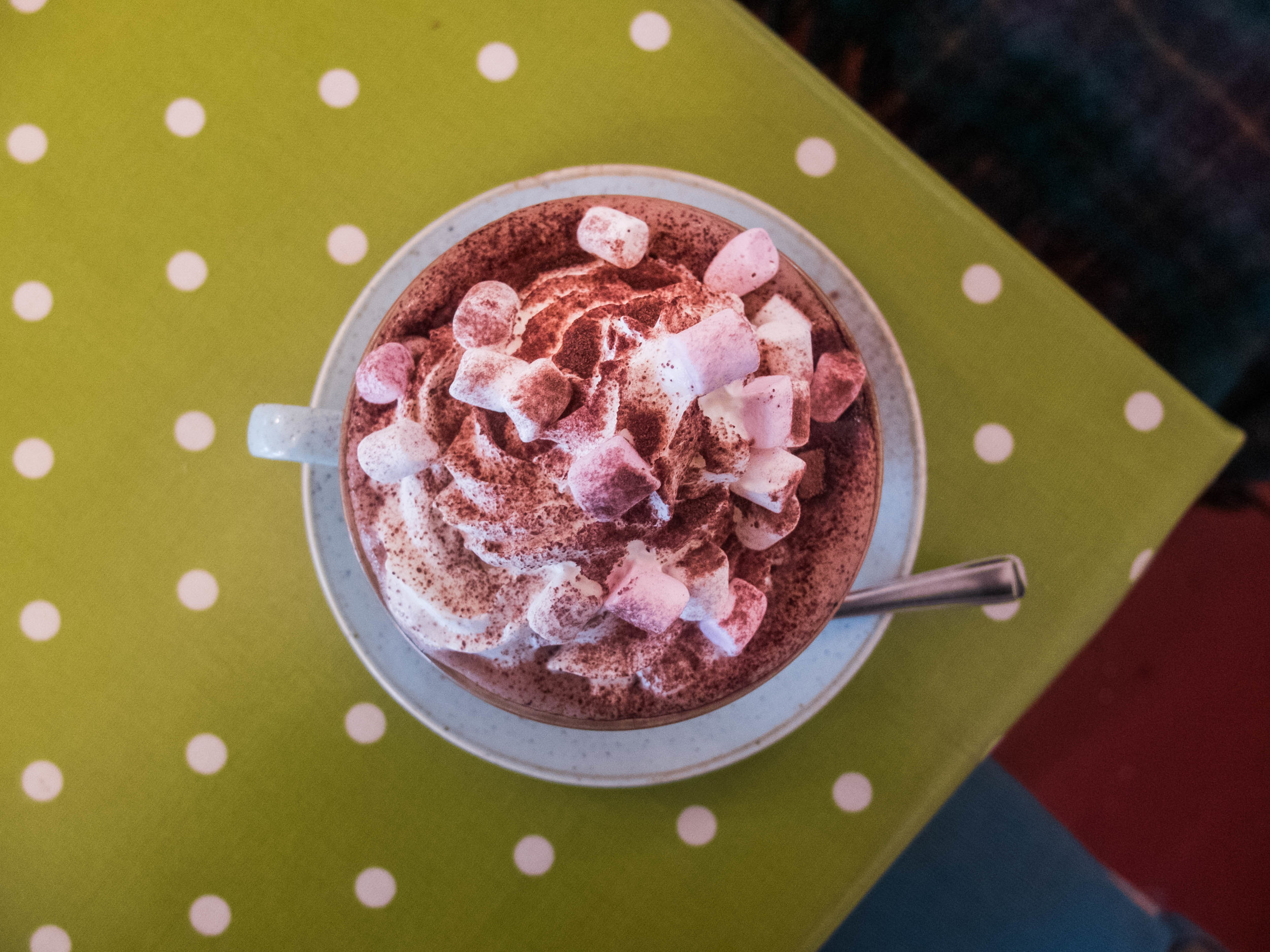  A cup of hot chocolate topped with marshmallows and whipped cream and dusted with chocolate powder 