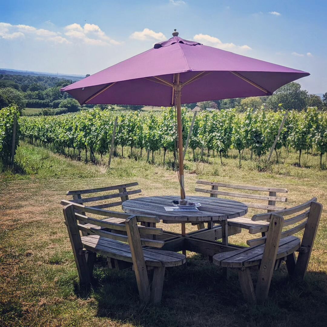 It's looking glorious for the weekend, so come and enjoy the sunshine with us and a fabulous glass of crisp cold Sussex wine!

We are open tomorrow - Saturday 9th from 2-5pm for you to pop by for a tasting and a glass or two 🌞🥂

#englishvineyard #e