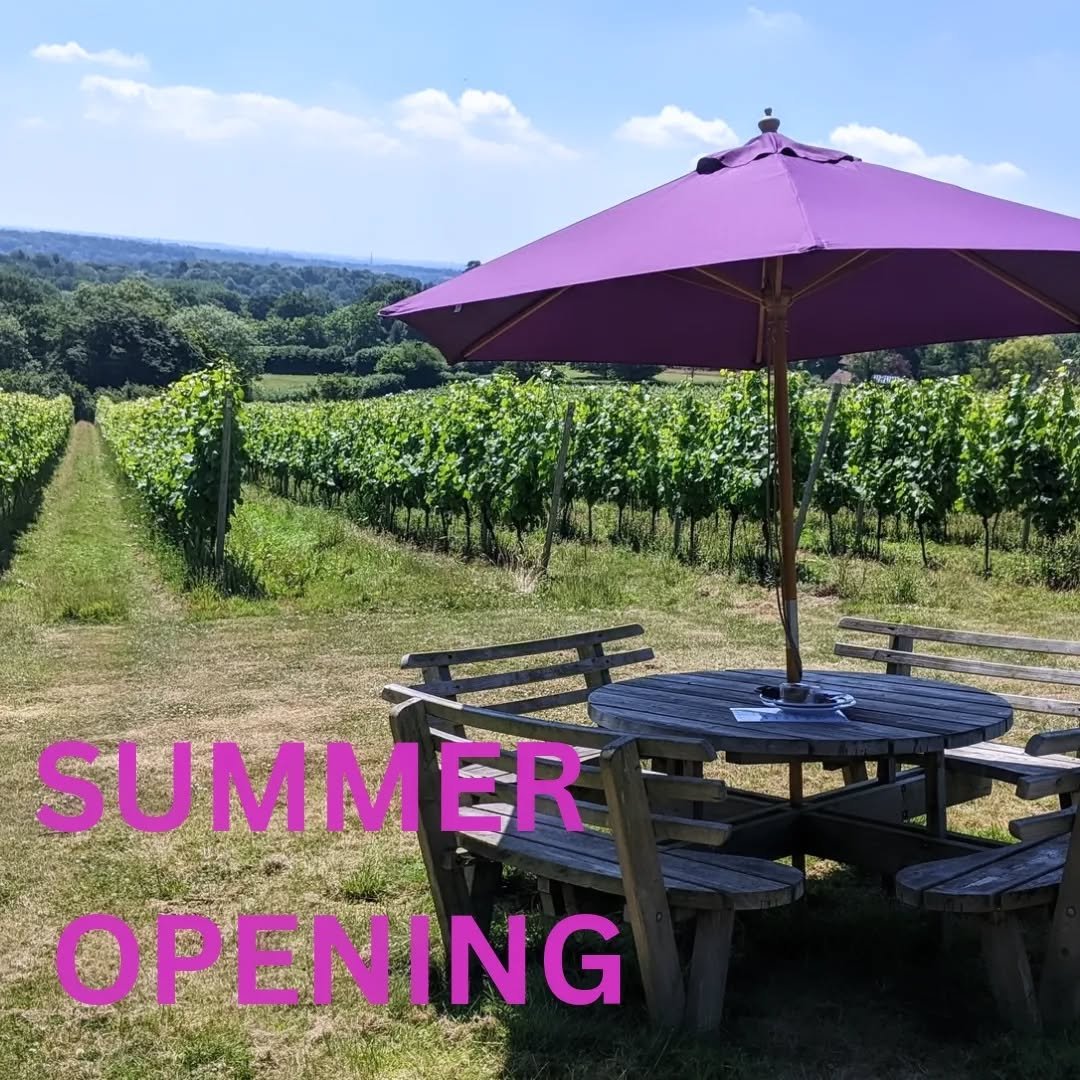 Come join us every Saturday afternoon in August from 2-5pm. No need to book, just drop by for a walk in the vines and a free tasting of the current wines. Then relax with a glass or two while enjoying the spectacular views and Sussex sunshine! See yo