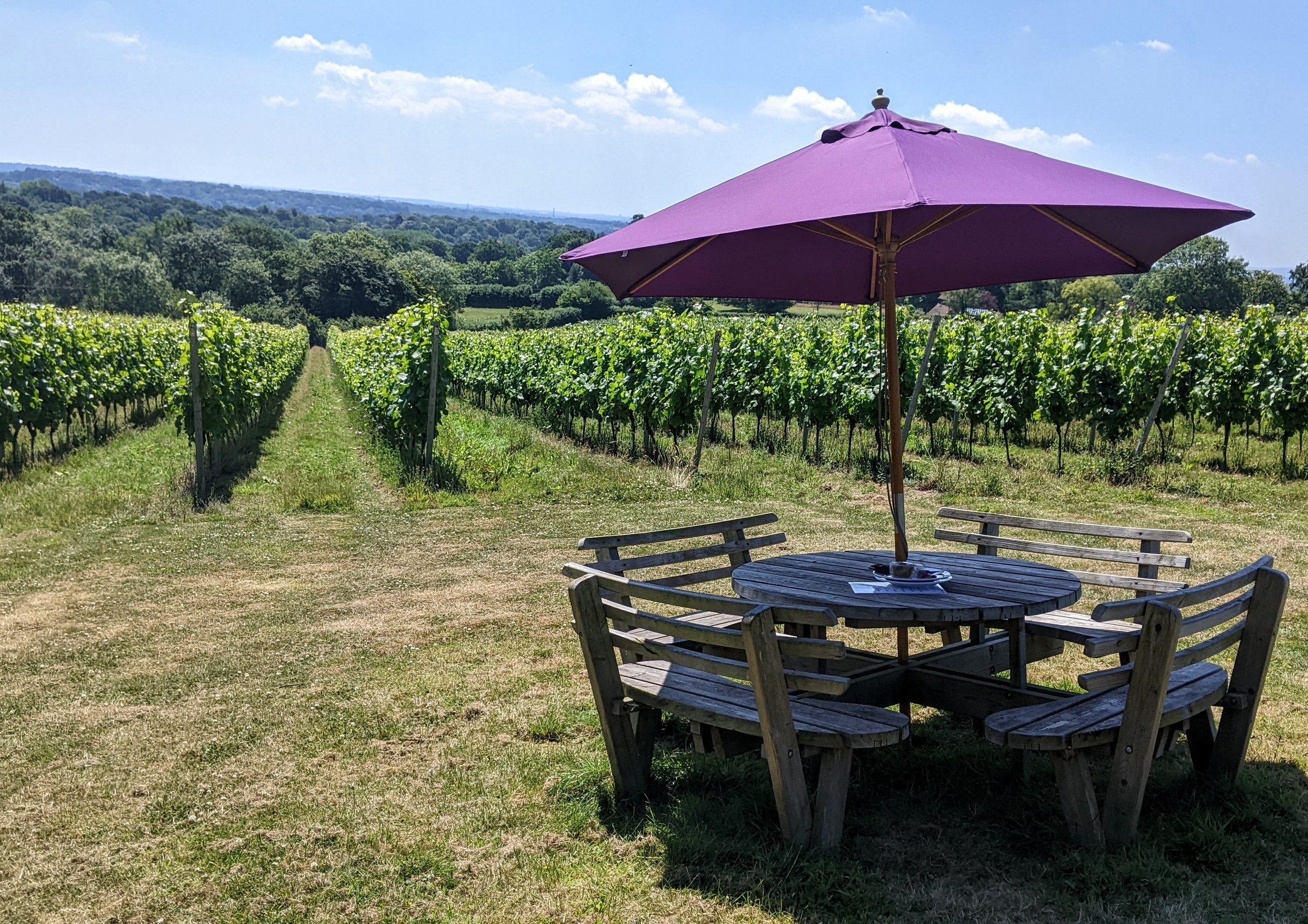Summer Open Afternoons 2025
