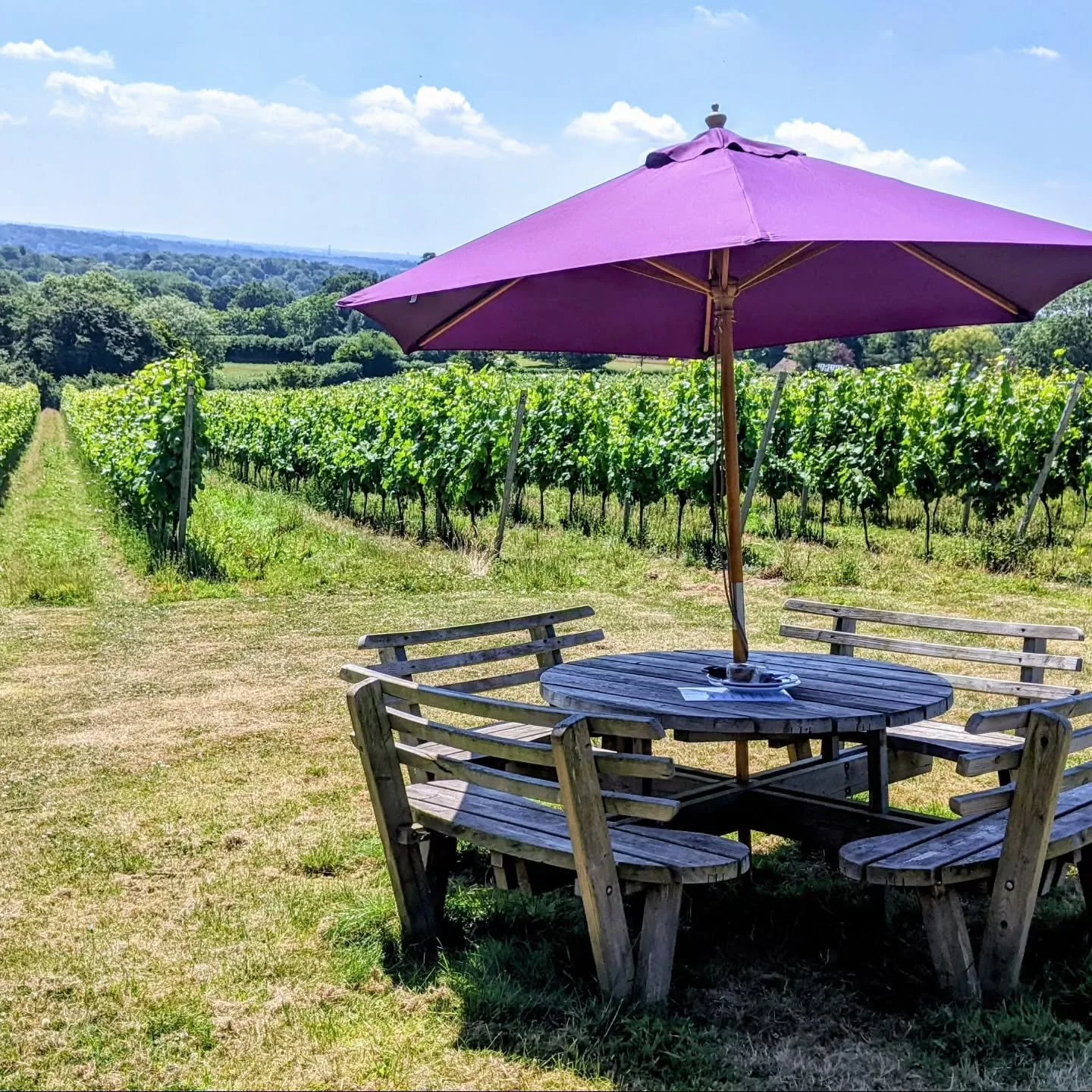 Summer opening! We will be opening the gates from this Saturday afternoon. Pop by from 2-5pm (no need to book) for tastings and wine by the glass and bottle. Soak up some Sussex sunshine and glorious views 🥂☀️🍇💚

Summer Open afternoons will run on