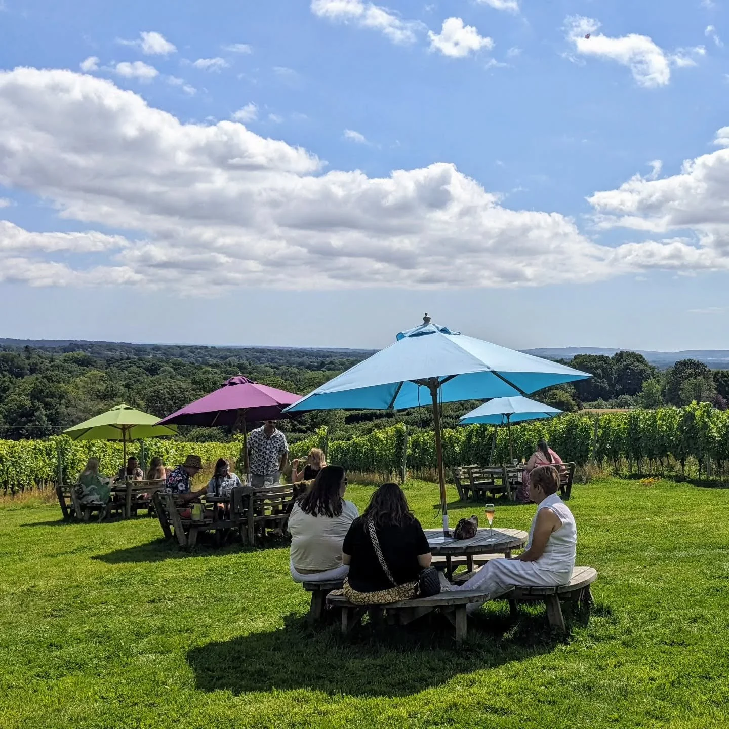 It's looking lovely tomorrow afternoon so we will be open from 2-5pm for drinks in the sunshine. No need to book, just pop by to have a glass of award winning Sussex bubbly! 

#englishvineyard #englishsparklingwine #eastsussex #sunnyday #supportsmall