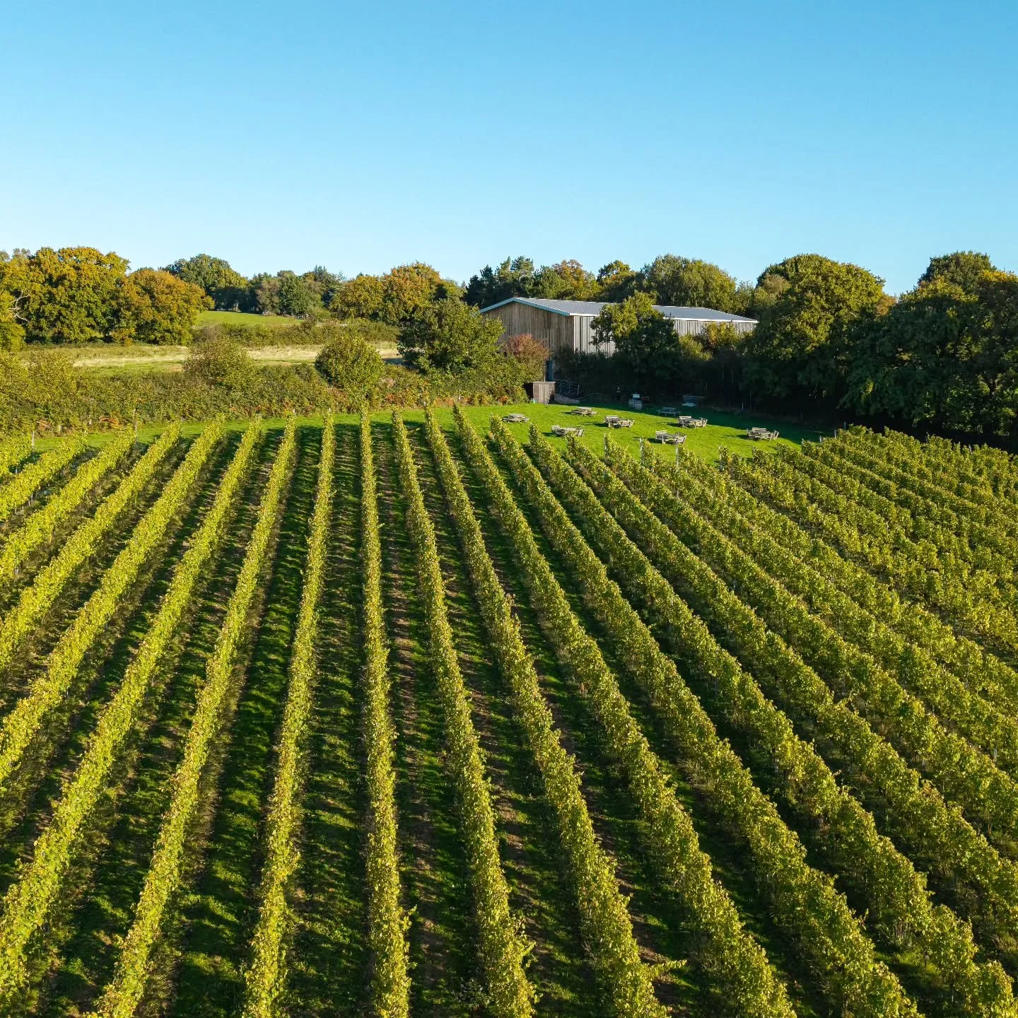 Plan a day with us this summer and you can sit amongst the vines enjoying a glass of award winning wine, while taking in the amazing views.

Booking is open for our tour and tasting events through spring and summer - just head to the website to secur
