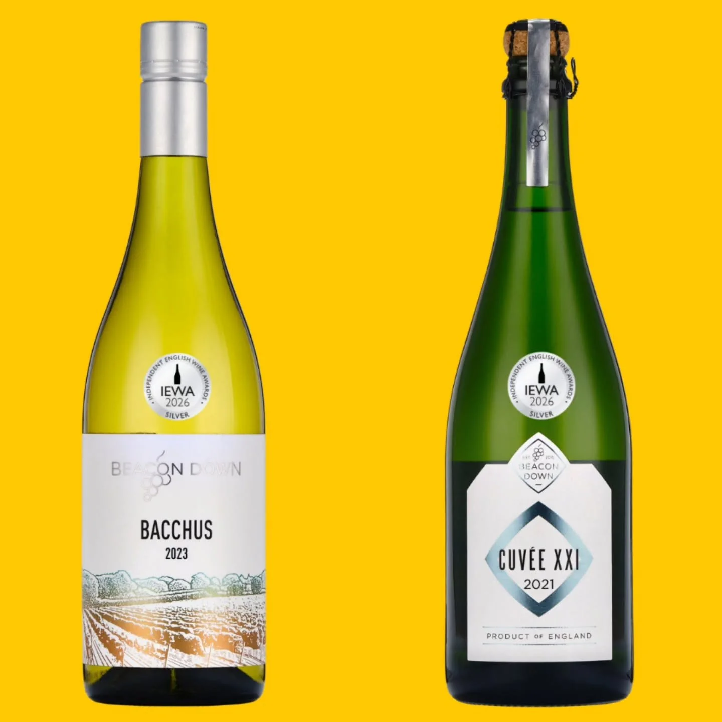 We won some awards! Silver medals at the Independent English Wine Awards #iewa26 for our Bacchus and our 2021 Cuvee fizz. 

The judges felt our Cuvee was 'a rich and expressive sparkling wine with 🍎, creamy pastry and savoury notes. Full-bodied and 