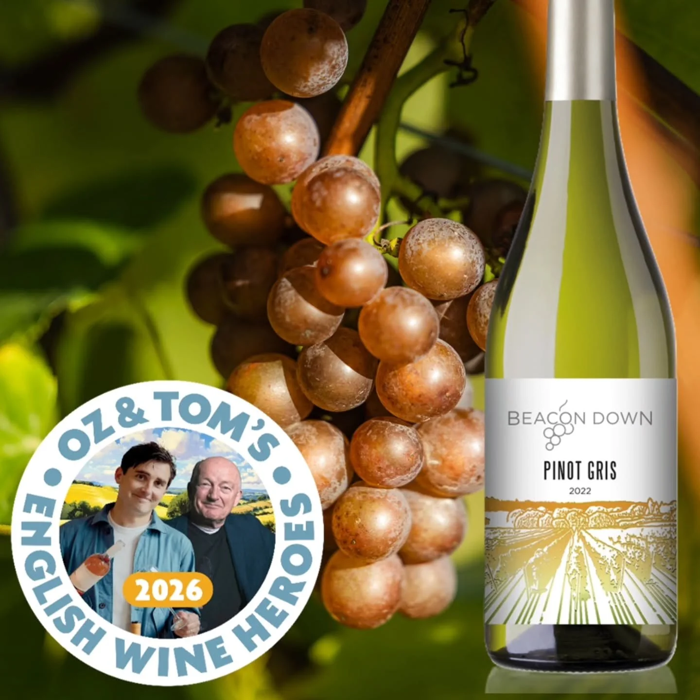 As part of their English Wine Heroes campaign @tomsurgey and @oz.clarke also tasted our Pinot Gris and we agree with them that it's a total crowd pleaser!
Get yours at www.beacondown.co.uk

📷@chriswignerstudios 

#englishvineyard #englishwine #engli