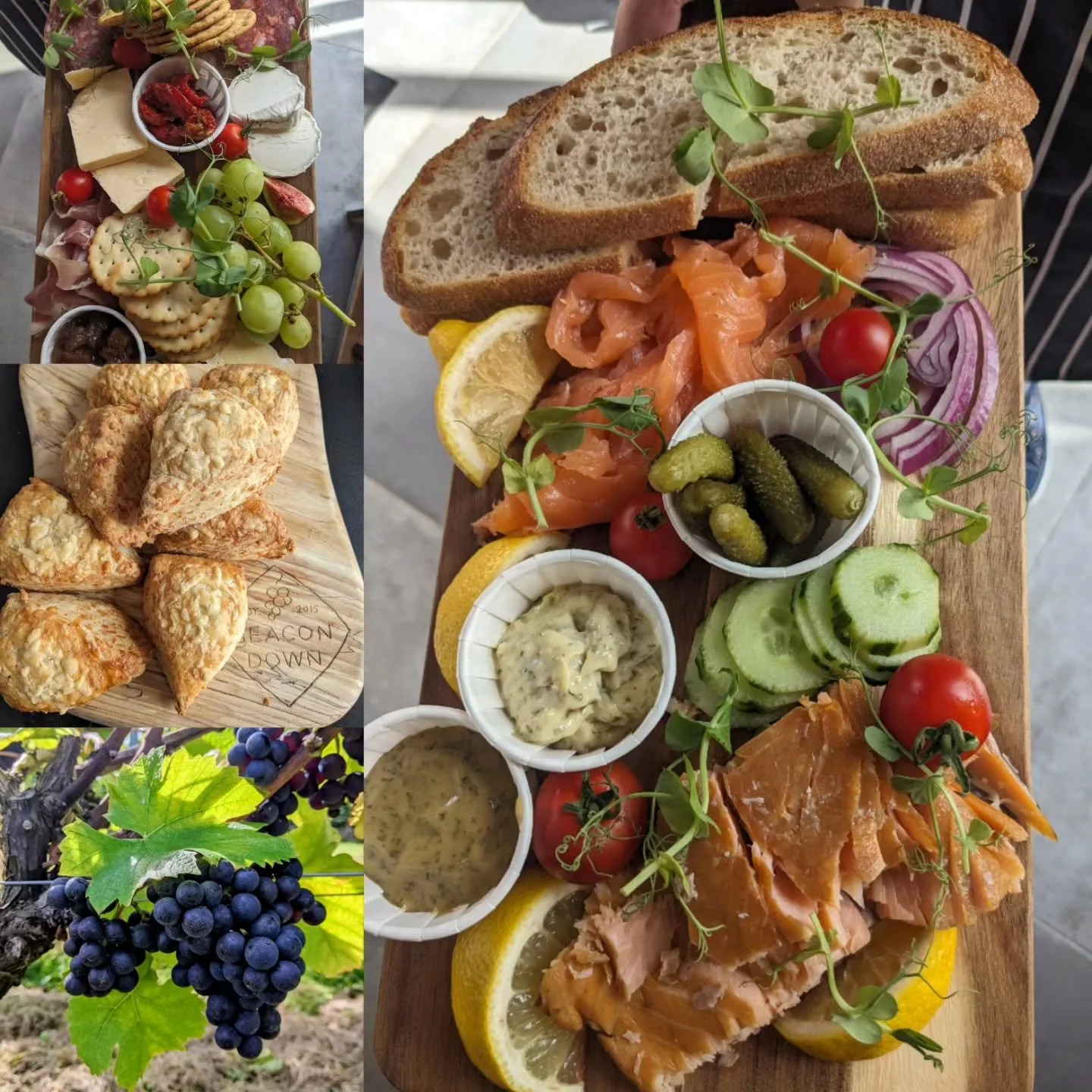 On the menu today; salmon platters, cheese and charcuterie boards, freshly baked cheese scones and lovely ripe grapes! Our harvest begins this week and it's a lovely  to visit the vineyard and see the grapes being brought in, while enjoying a bite to