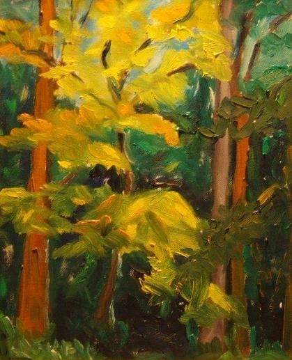 Backyard in Fall
