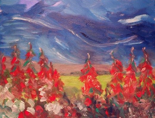 Red Flowers in Norwegian Field