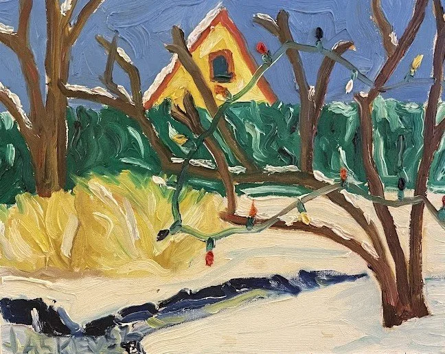 Christmas Lights in the Backyard in Framingham