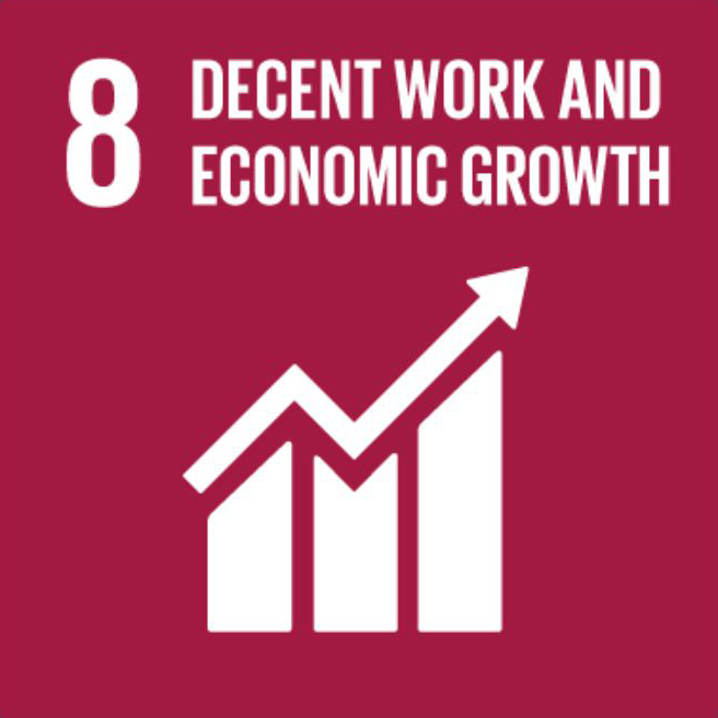 APSI_SDG8.jpg