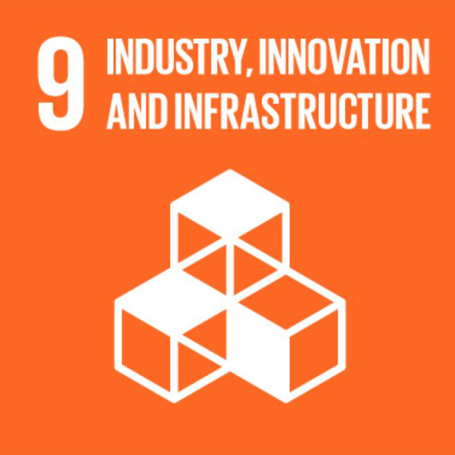 APSI_SDG9.jpg