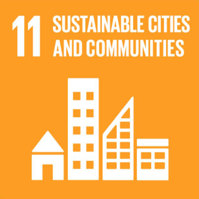 APSI_SDG11.jpg