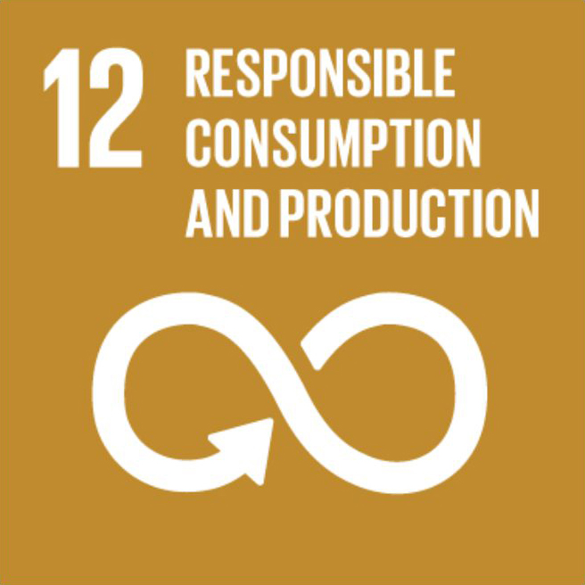 APSI_SDG12.jpg