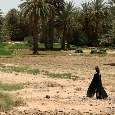 [DOSSIER] Vers Un Féminisme Humaniste dans le Monde Arabe