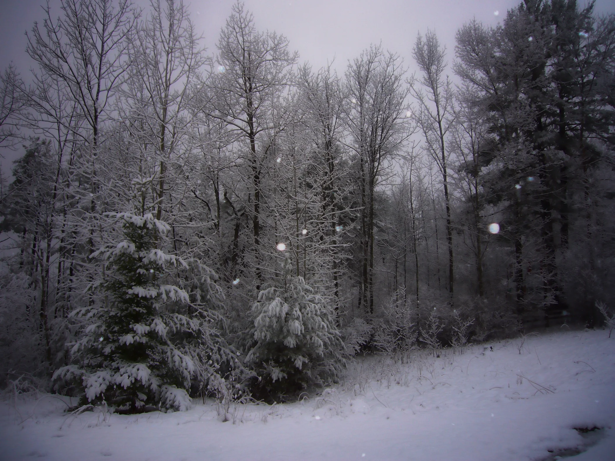 snowy_evening2.jpeg