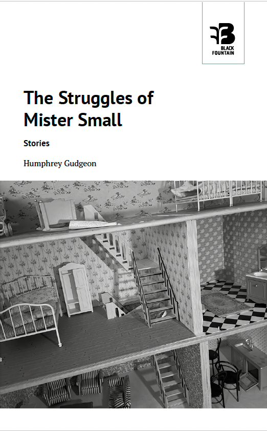 The Struggles of Mr Small