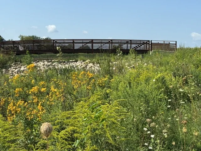 watershed w bridge.jpeg
