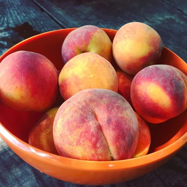 🍑!⠀
we does it for the community + the community does it for us!⠀
-⠀
many thanks to @lisainphilly our devoted supporter + dear friend from @thefoodtrust who donated a whole case of these delicious local peaches from @freconfarms !⠀
-⠀
it’s still market season! visit thefoodtrust.org to find a market near you! ⠀
#community #communitybuilding #farmerssavelives