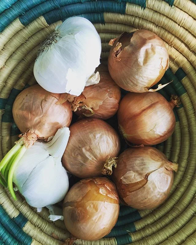*insert Onion + Garlic emojis*⠀
shoutout to @sundaysuppersphilly for donating a handful of kitchen essentials: onions, garlic, peppers + leeks! thank you for having always supported the OMK mission + dream.⠀
-⠀
Sunday Suppers encourages + promotes mental, physical + social wellness through creating a space where families come to cook + eat dinner together. family meals are so important to community building + preserving culture. if you are interested in volunteering visit sundaysuppersphilly.org⠀
#community #communitybuilding #familydinner