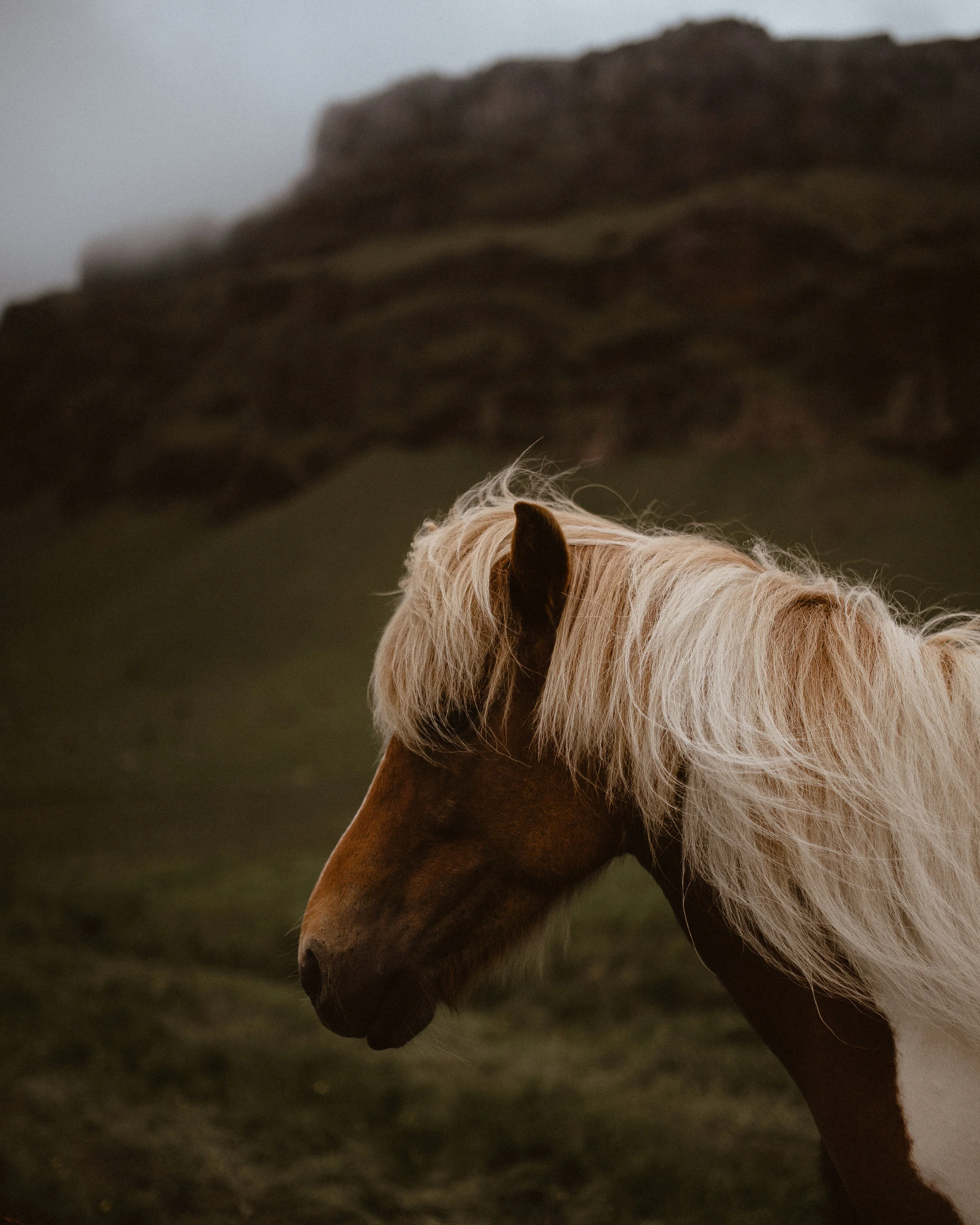 Iceland2018-142-2.jpg