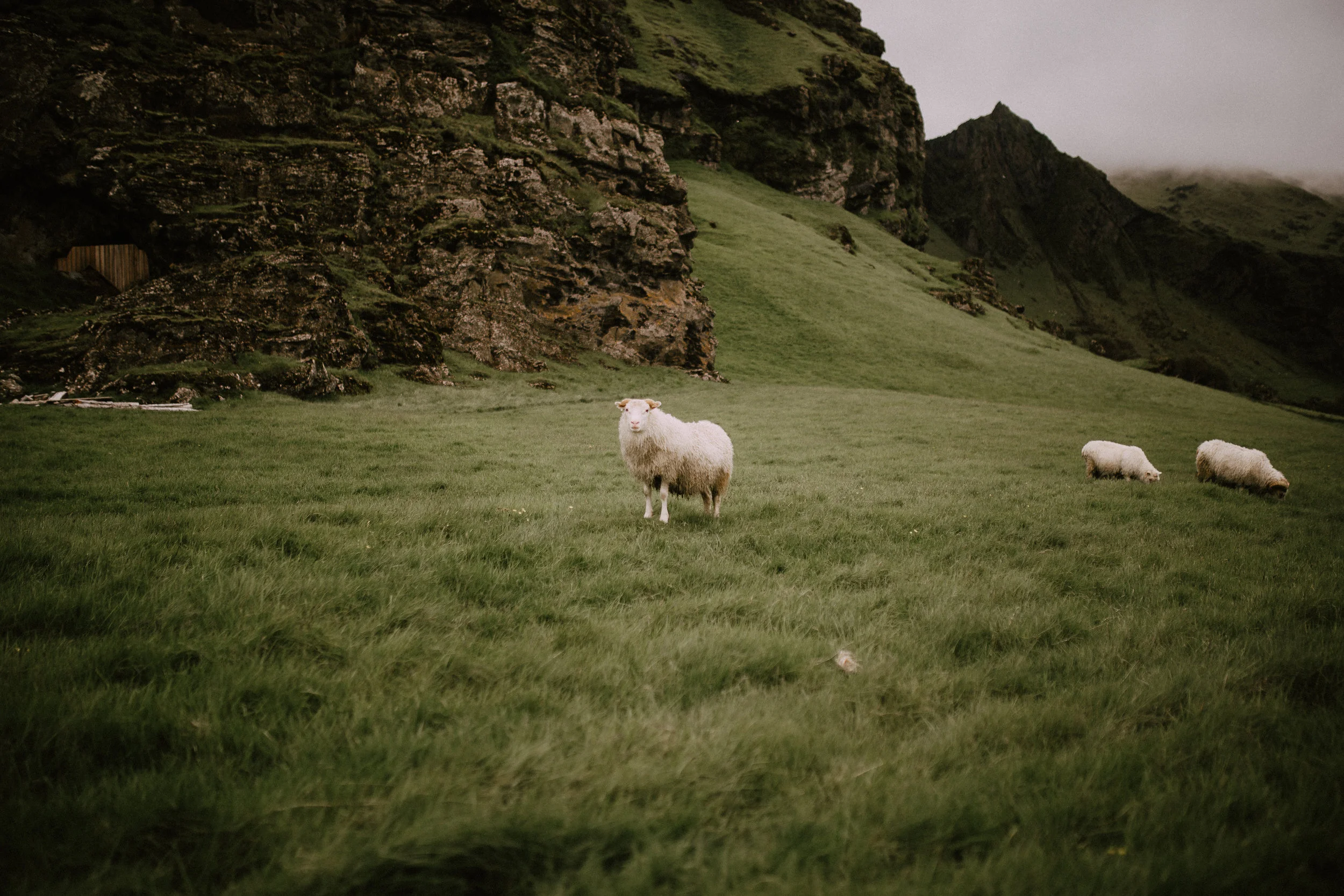 Iceland2018-16-2.jpg