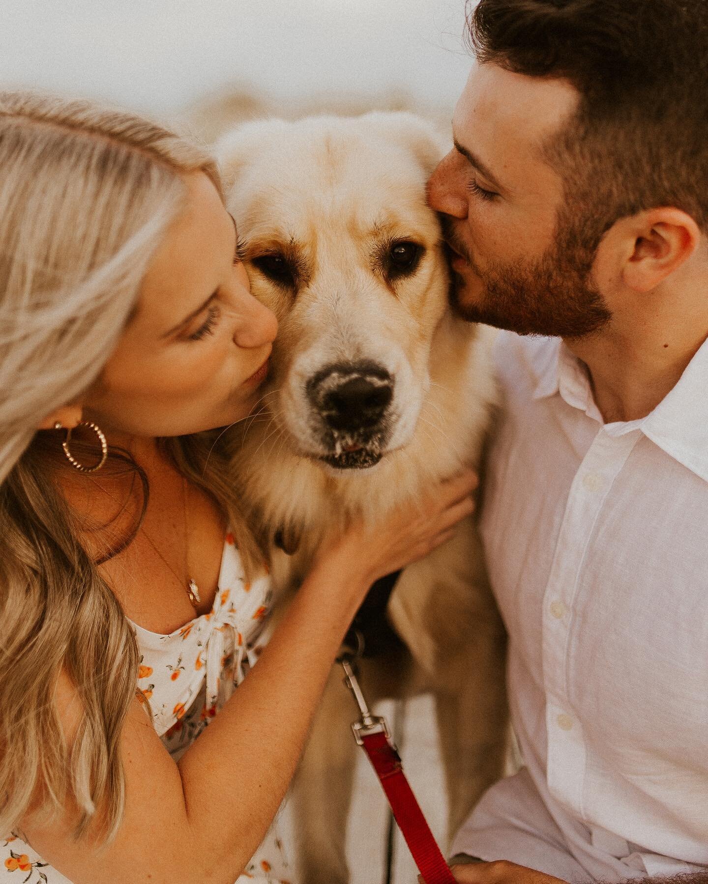 Engagement session pro tip: bring your dog.  Bring a dog. Any dog.  Please.  Please please please. 

It felt like HEAVEN to be back at one of my favourite Nova Scotia beaches on Tuesday evening with these angels!! I love everything about these three 