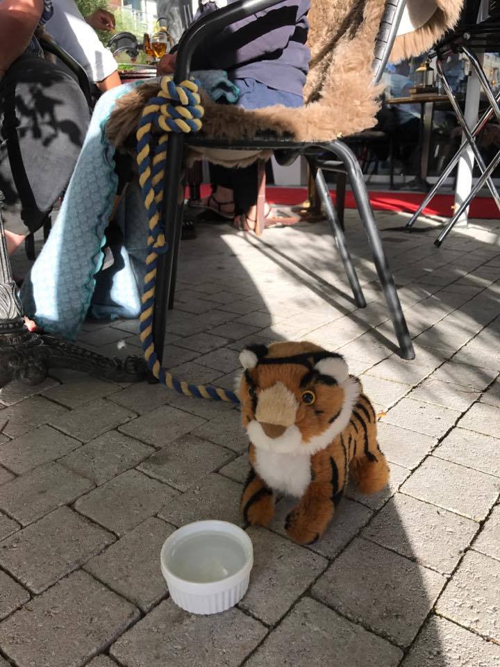  Hos oss är Alla välkomna även tigrar...
