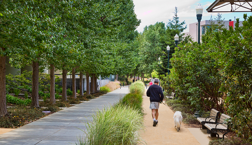 Emeryville's New Streetscape_Credit City of Emeryville.jpg