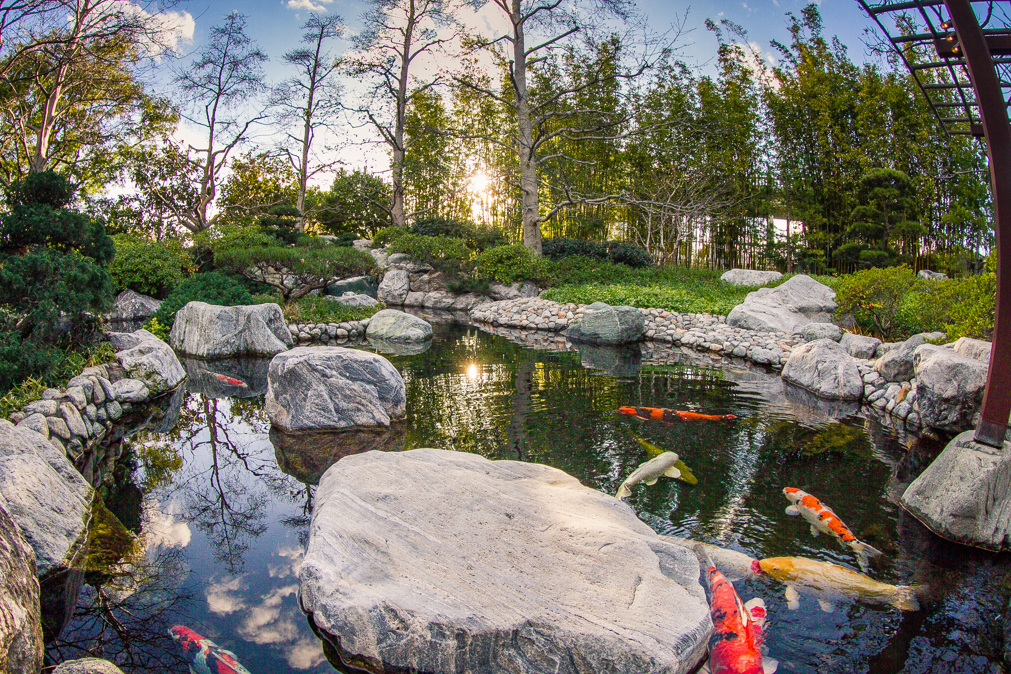 Japanese Friendship Garden.jpg