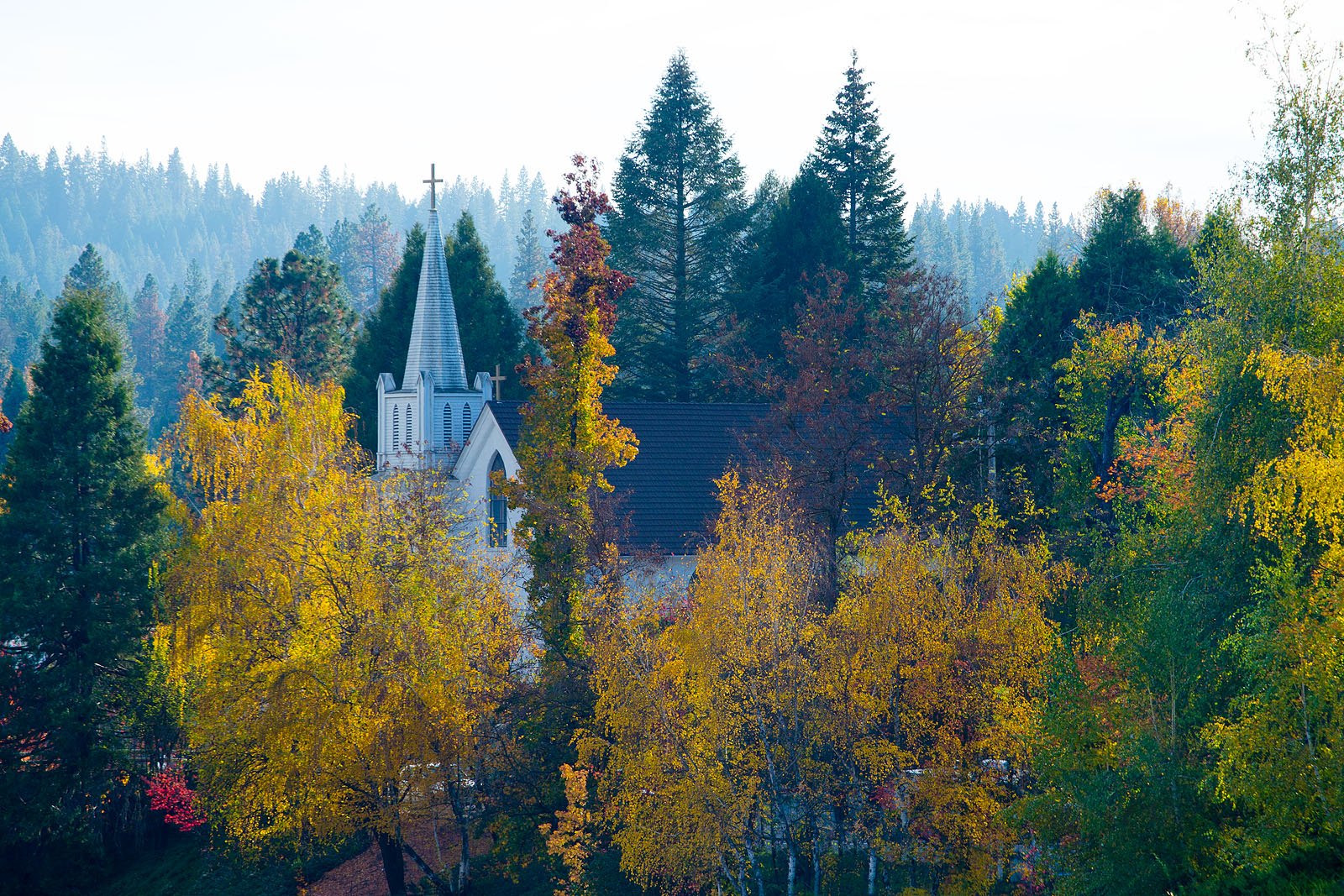 Fall Colors Self Guided Tour.jpg