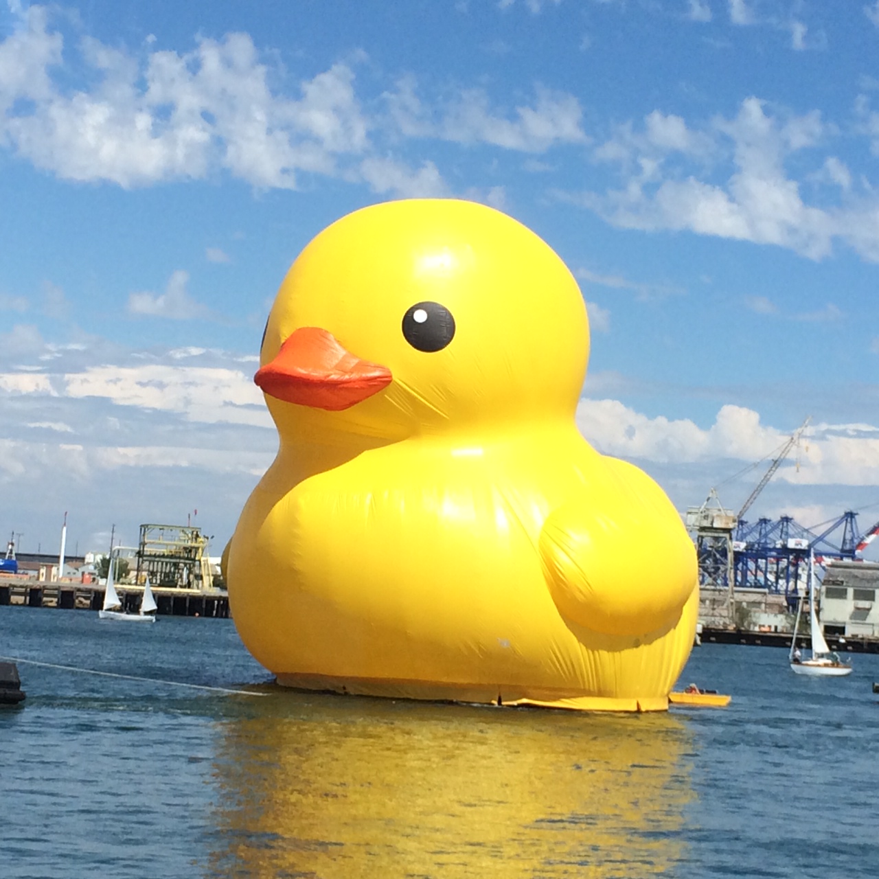 Rubber Ducky.jpg