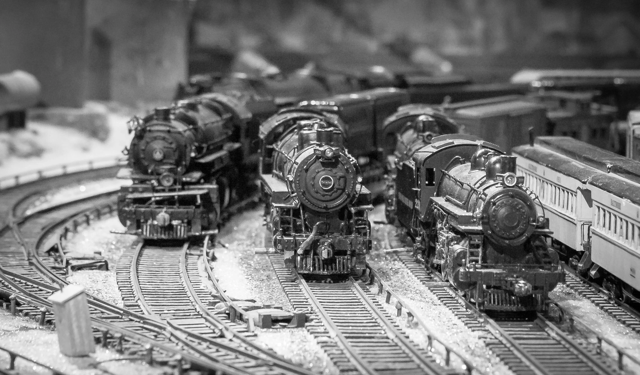 Spring Train Show