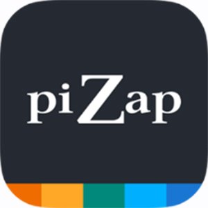 Website- PiZap.jpg