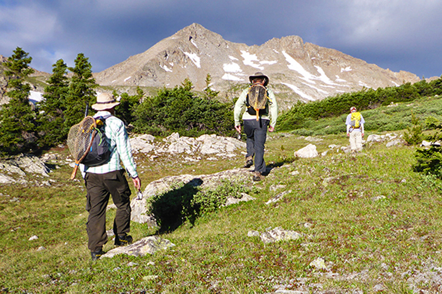 hiking.jpg