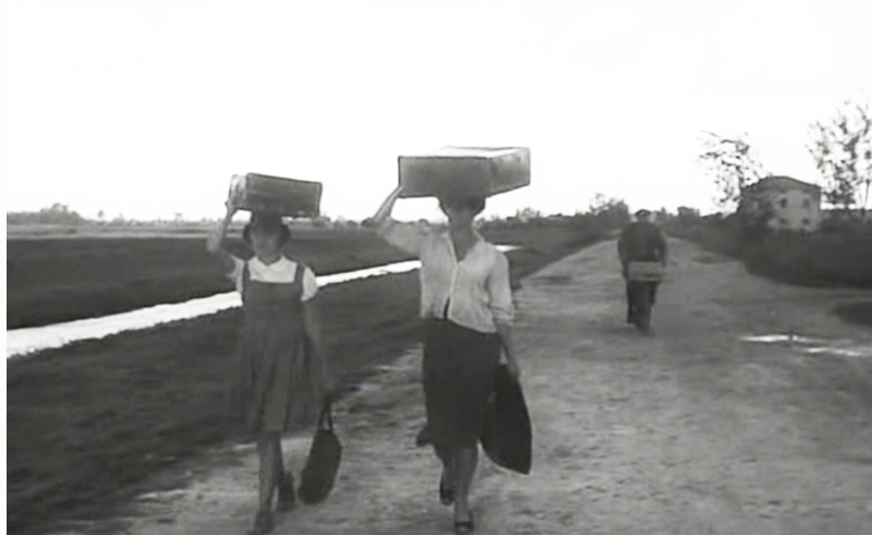 La ciociara (Two Women), Parte 1