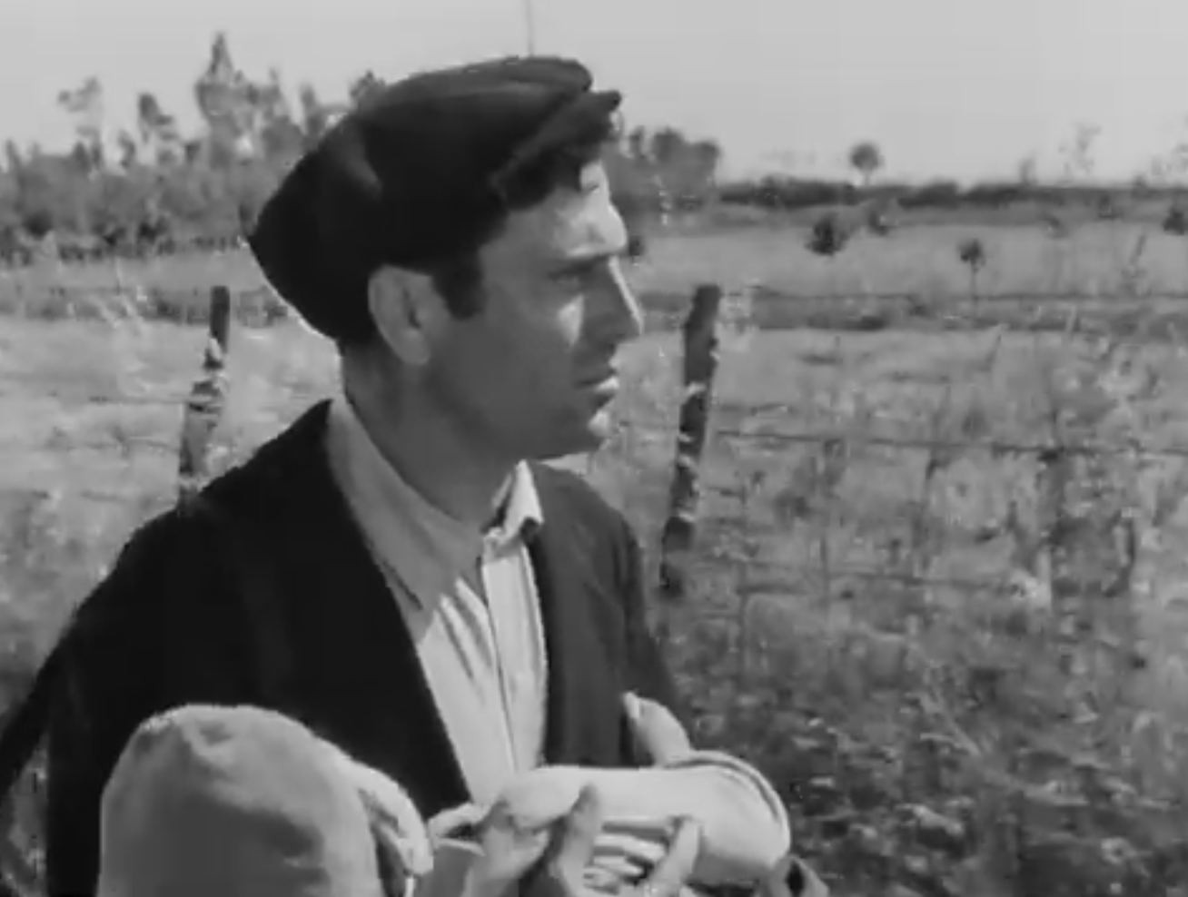 49.png