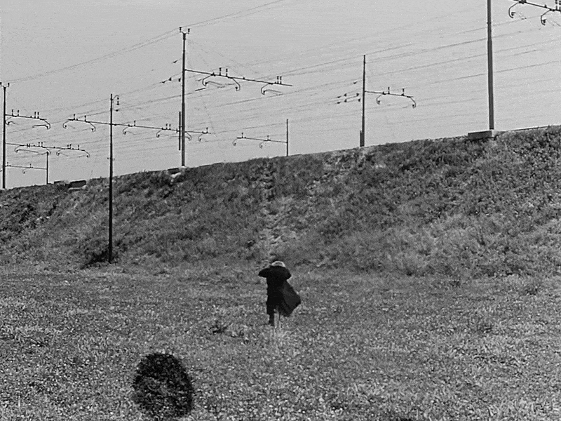 28b hatsmiracolo compressed.gif