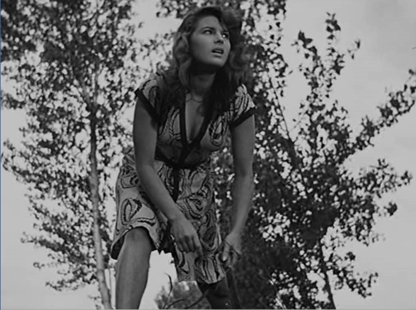 Riso amaro (Bitter Rice), Parte 24 	