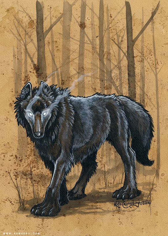 Black Dog Oschaert