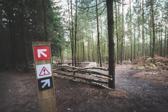 As I Walk Two Paths Side By Side...