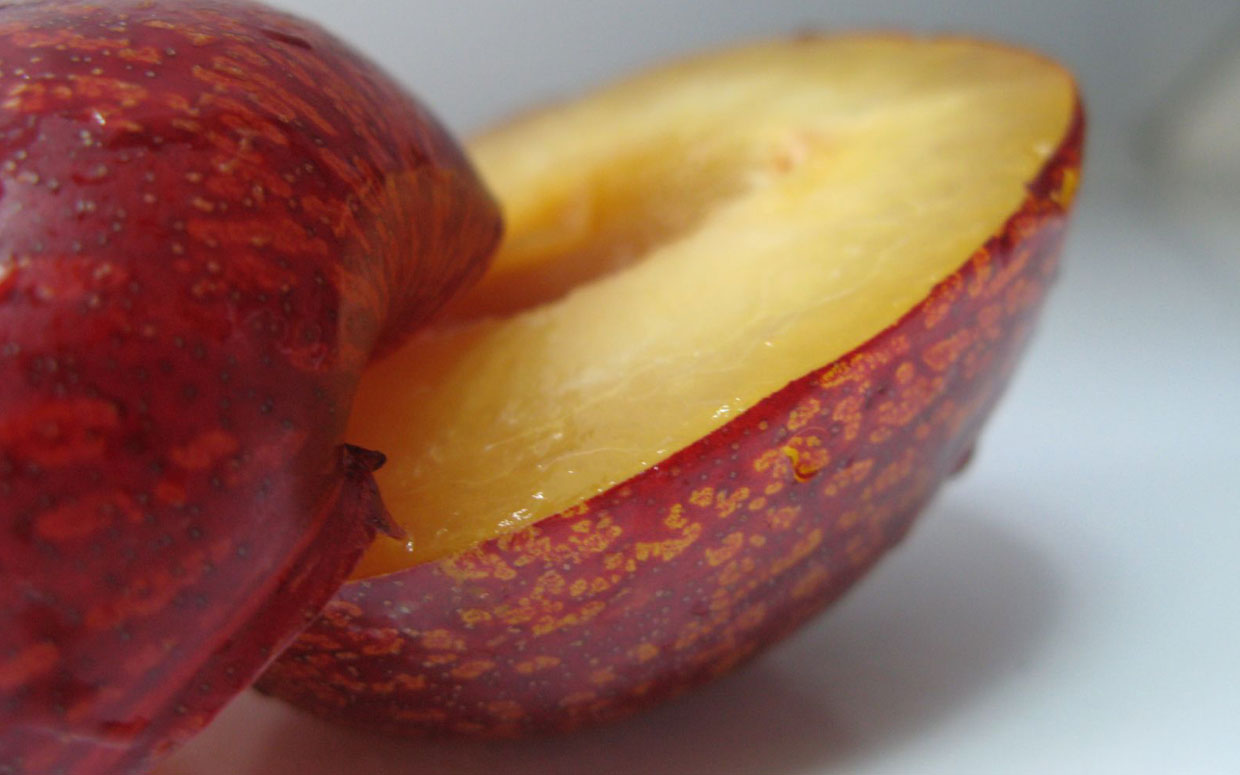 pluot-weird-fruit-ftr.jpg